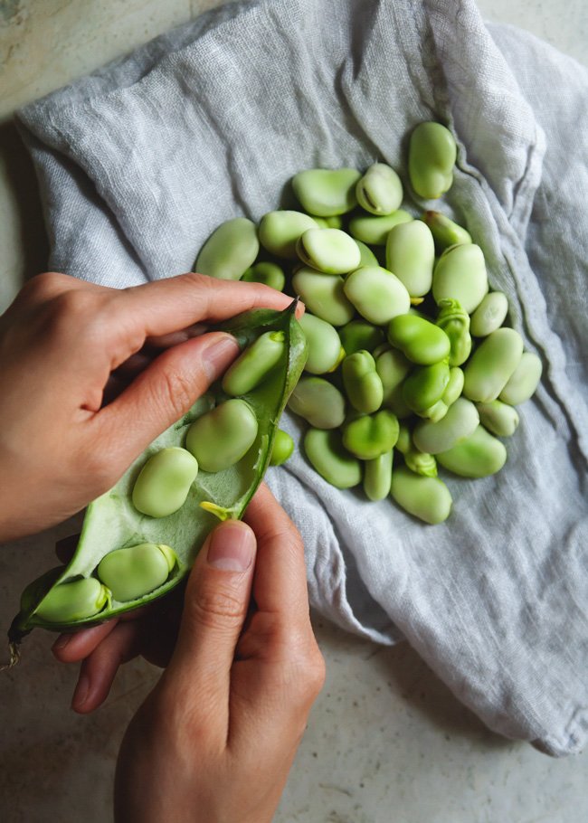 Fava Bean Salad