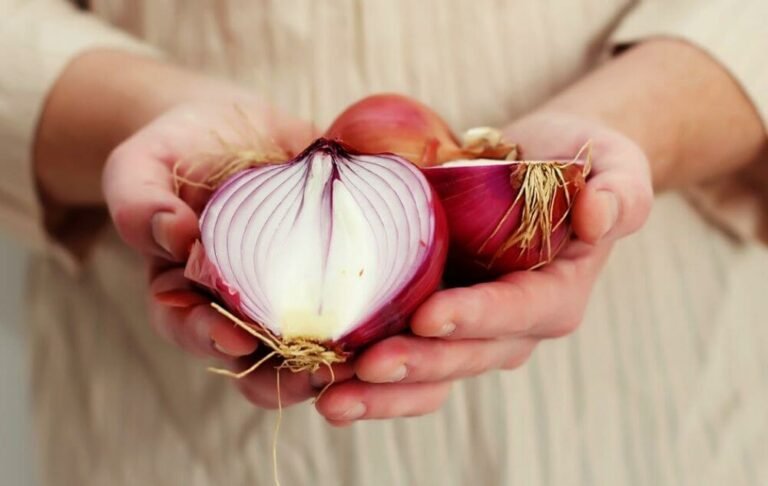 Are Onions Bad For Acid Reflux