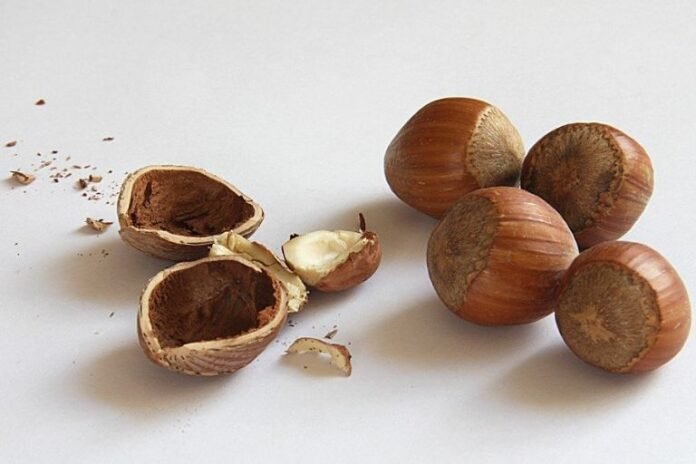 Are Hazelnuts Good for Acid Reflux