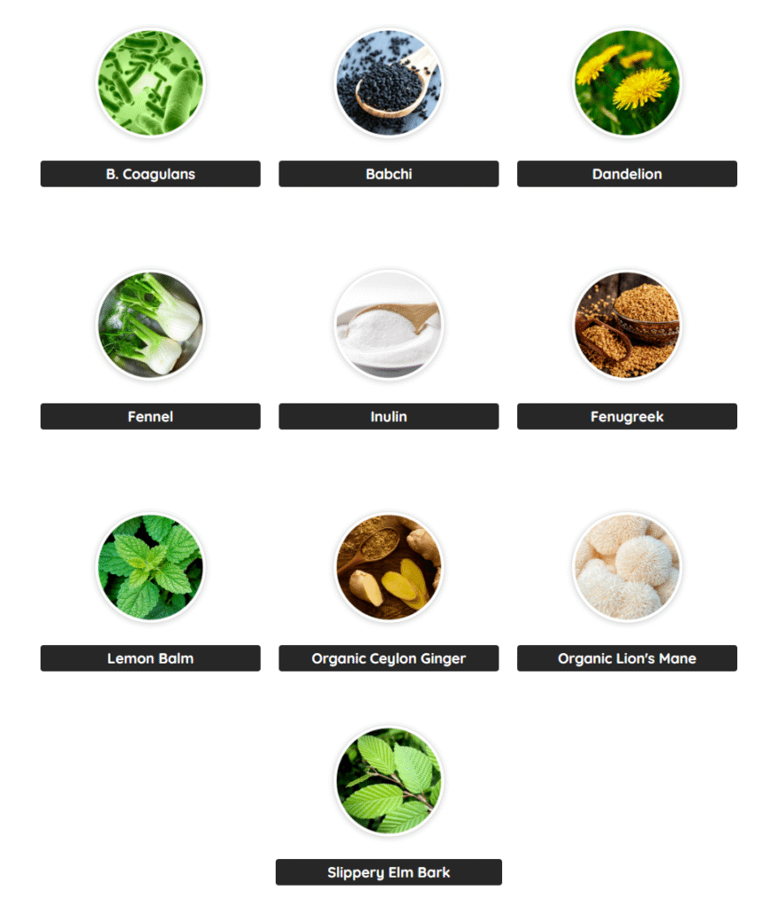 Prime Biome Ingredients